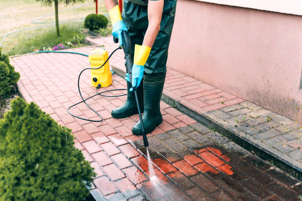 Animal Enclosure Cleaning in Coralville, IA